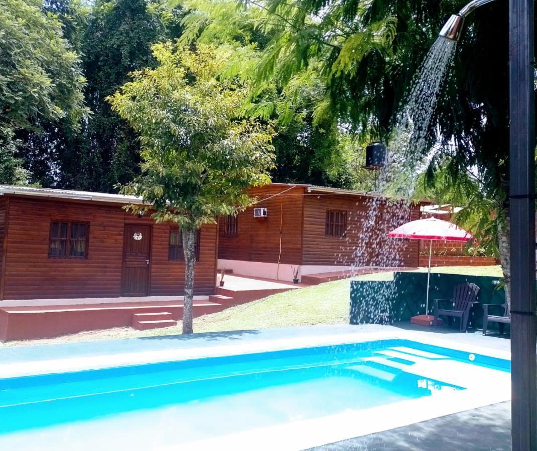 Cerella * Puerto Iguazu